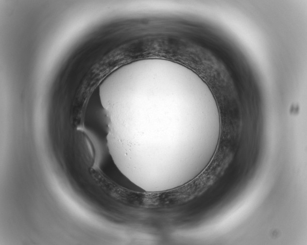 X0000093770766200711131211