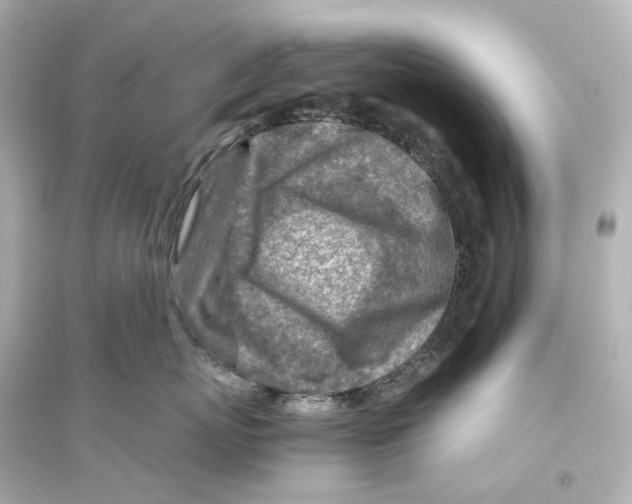 X0000093770767200711131211