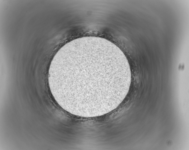 X0000093770769200711131211