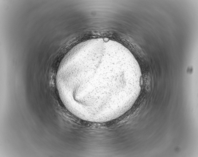 X0000093770770200711131211