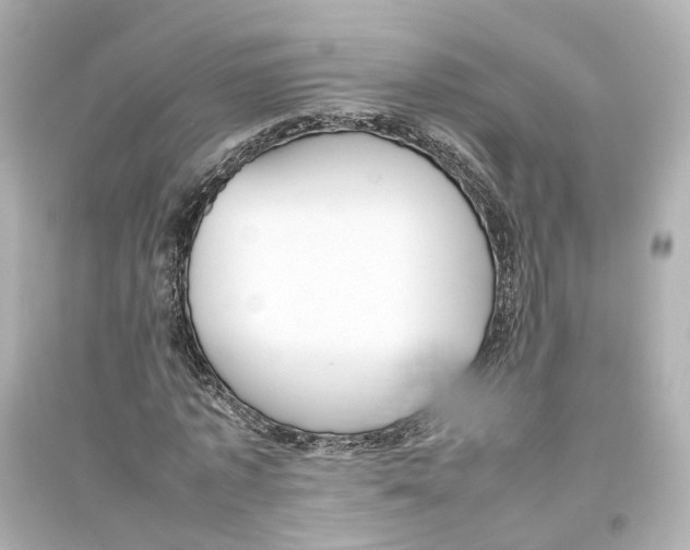 X0000093770773200711131211