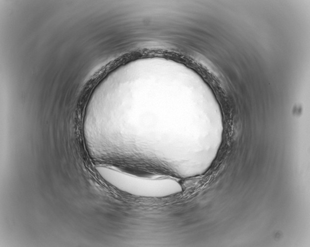 X0000093770775200711131211