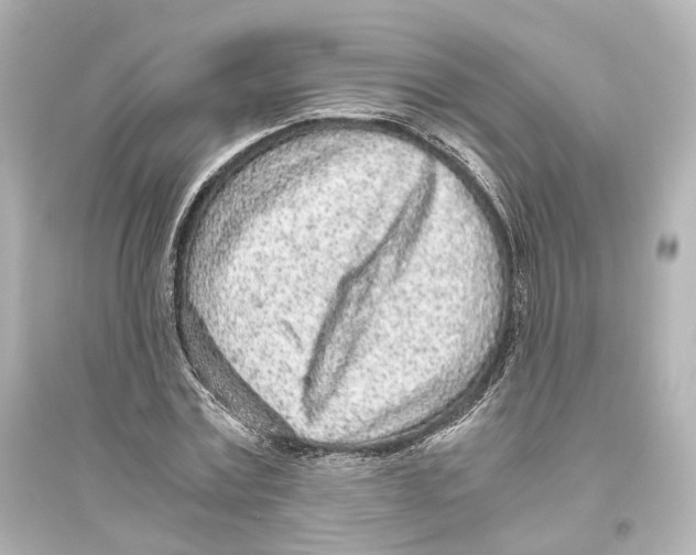 X0000093770779200711131210