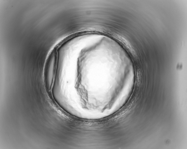 X0000093770780200711131210