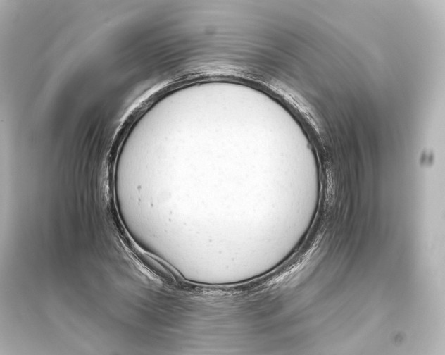 X0000093770782200711131210