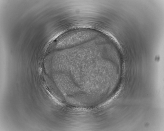 X0000093770785200711131210