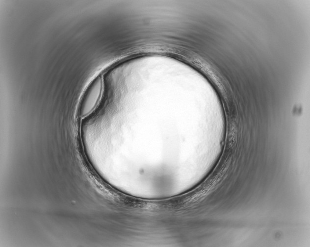 X0000093770787200711131210