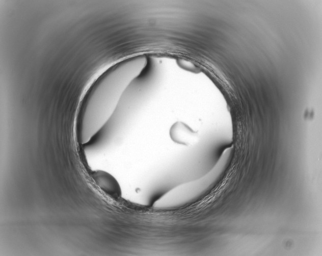 X0000093770788200711131210