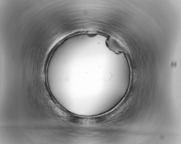 X0000093770789200711131210