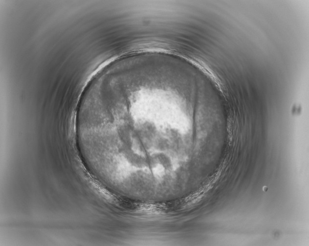 X0000093770790200711131210