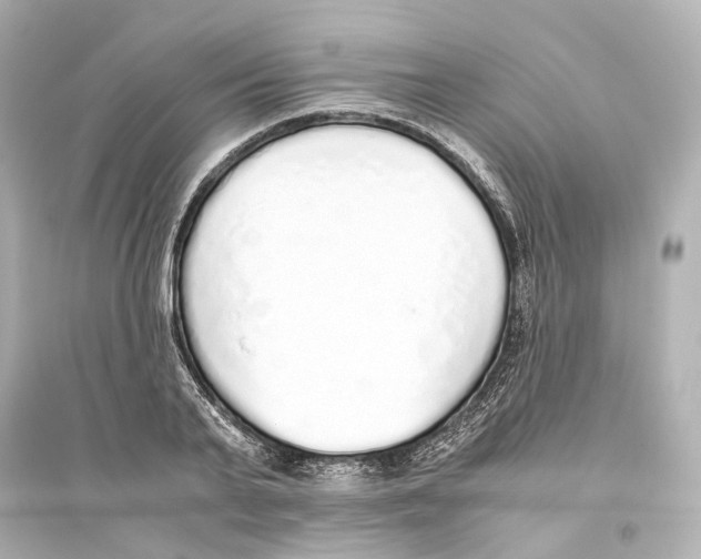 X0000093770791200711131210