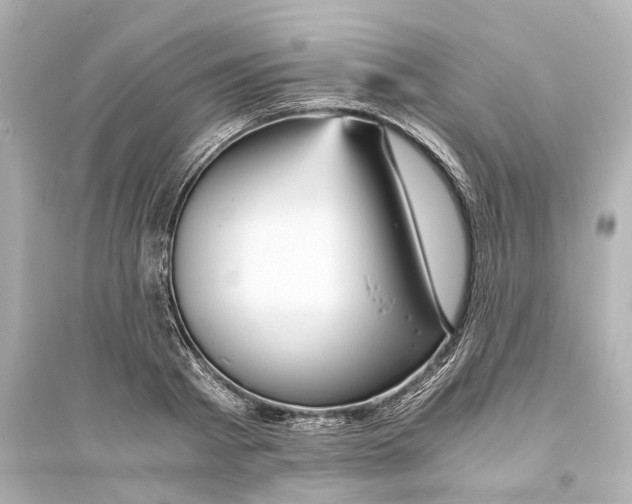 X0000093770793200711131210