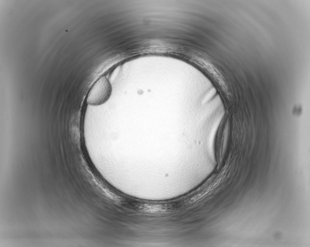 X0000093770794200711131210