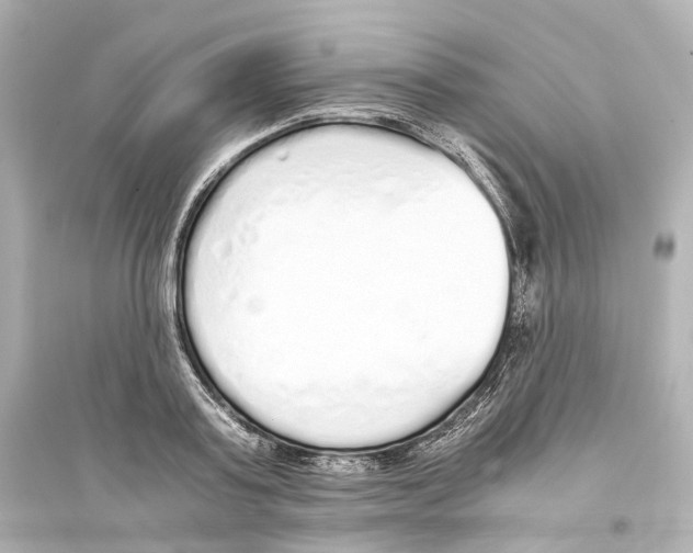 X0000093770795200711131210