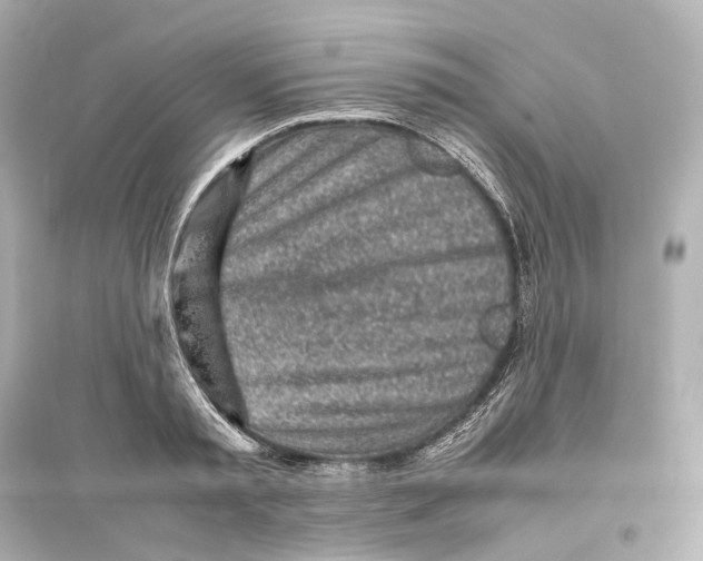 X0000093770797200711131210