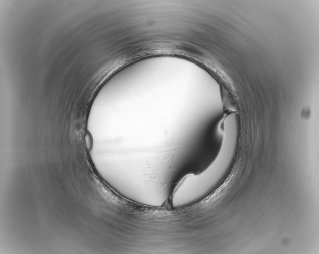 X0000093770801200711131210