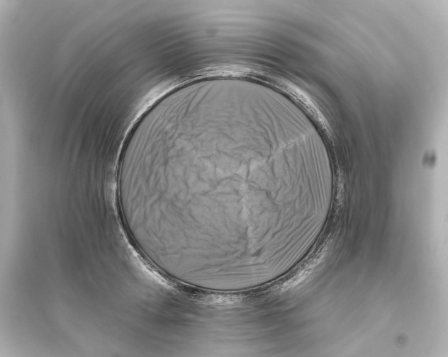 X0000093770802200711131210