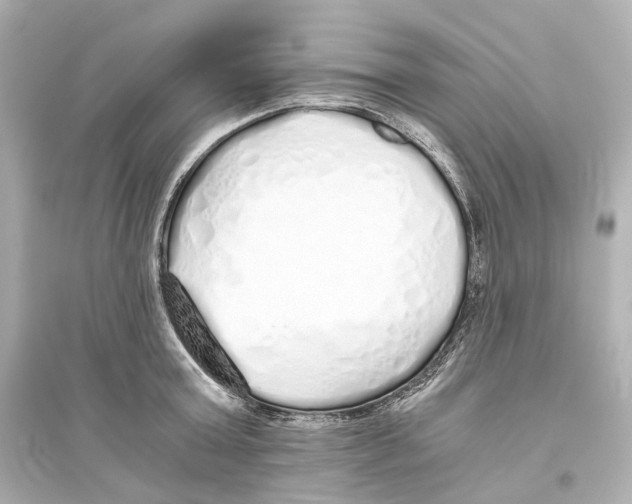 X0000093770803200711131210