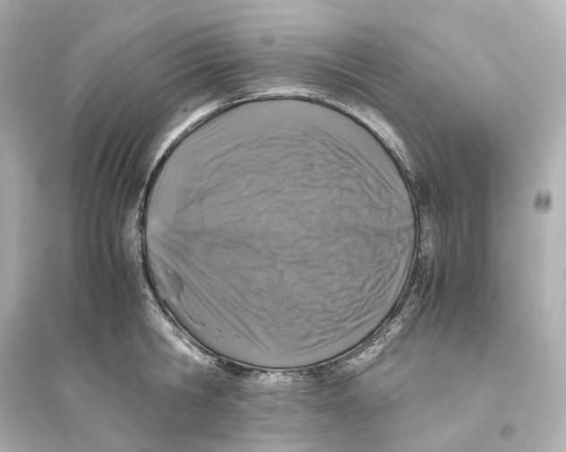 X0000093770806200711131210