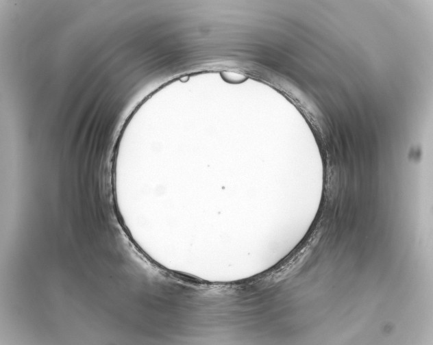 X0000093770808200711131210