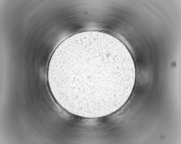 X0000093770810200711131210