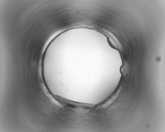 X0000093770812200711131210