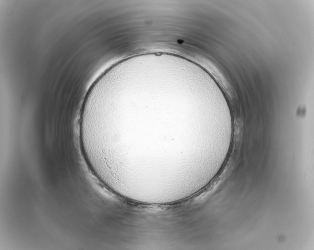 X0000093770814200711131210