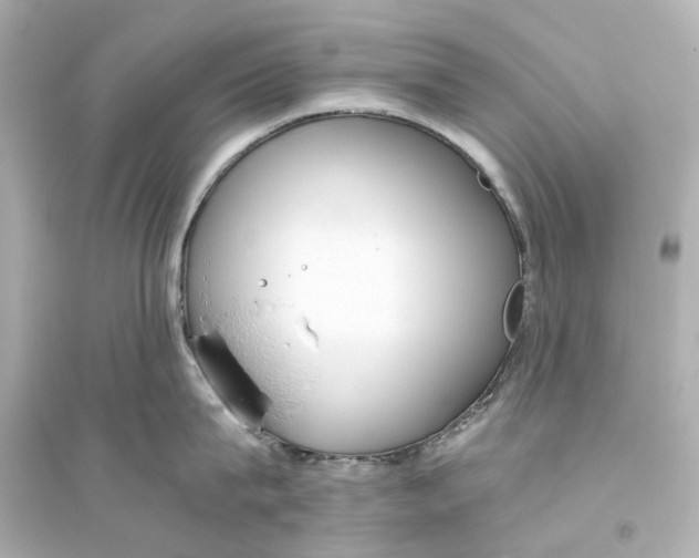 X0000093770815200711131210