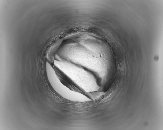 X0000093770818200711131209