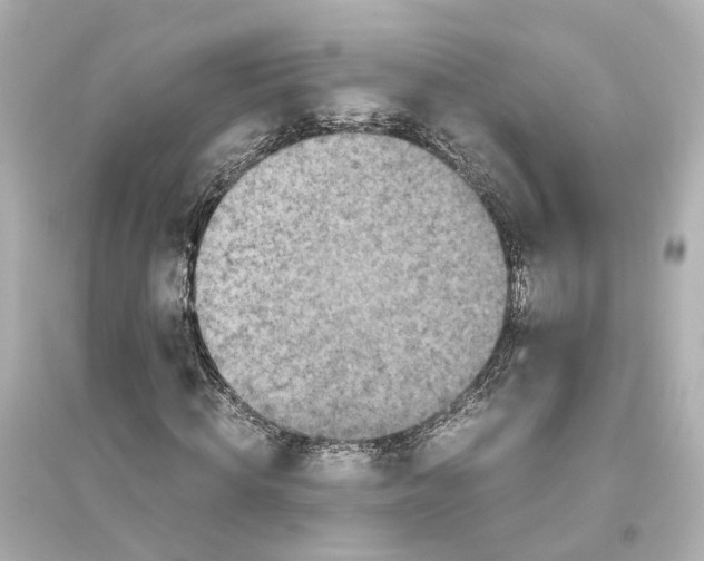 X0000093770820200711131209