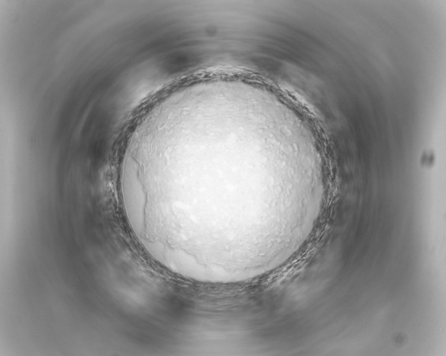 X0000093770824200711131209