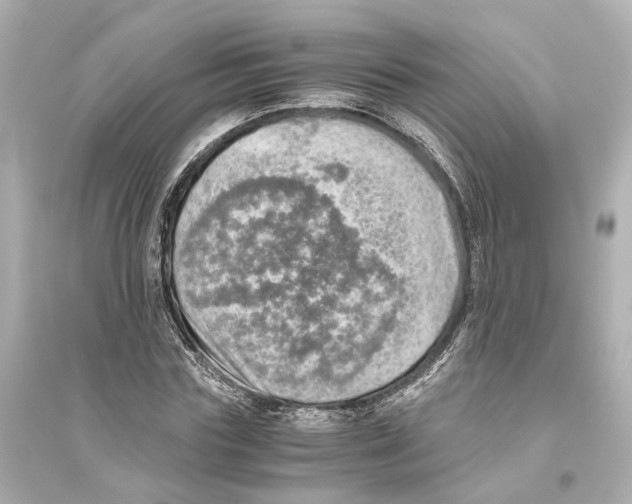 X0000093770827200711131209