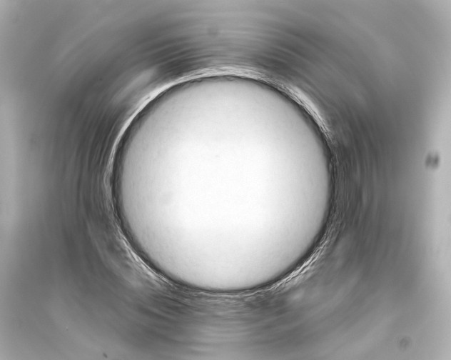 X0000093770828200711131209