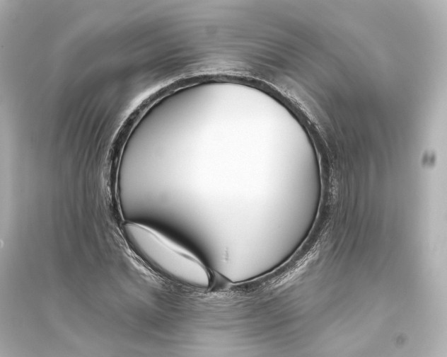 X0000093770830200711131209