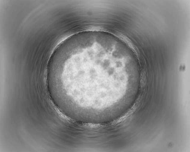 X0000093770831200711131209