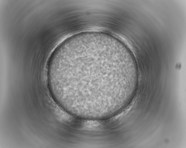 X0000093770835200711131209