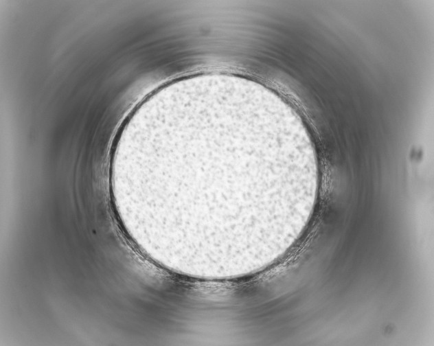 X0000093770836200711131209