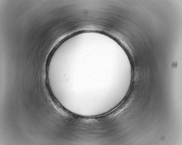 X0000093770837200711131209