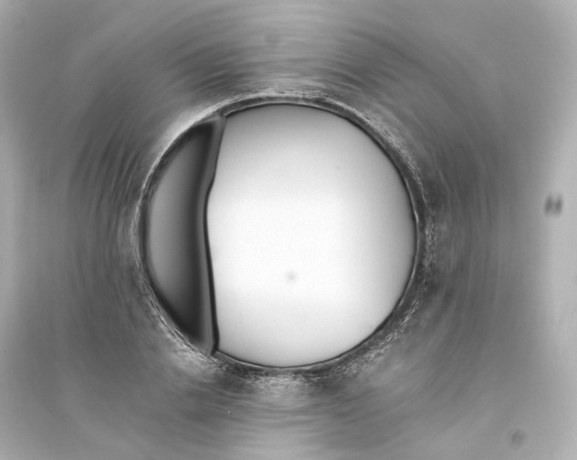 X0000093770838200711131209