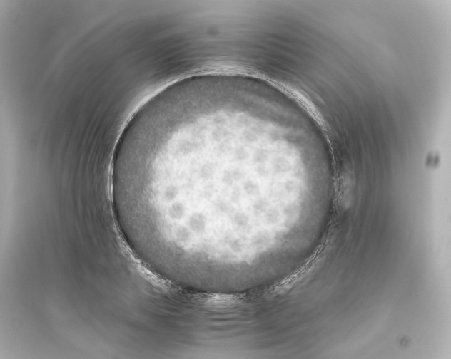 X0000093770839200711131209