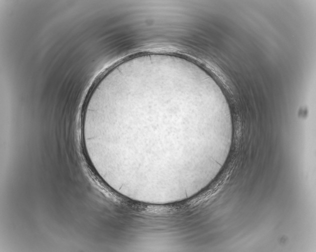 X0000093770840200711131209