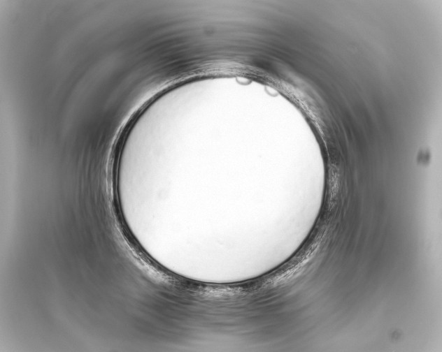 X0000093770843200711131210