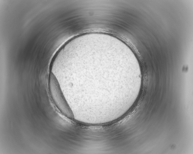 X0000093770844200711131210