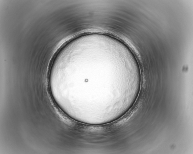 X0000093770845200711131210