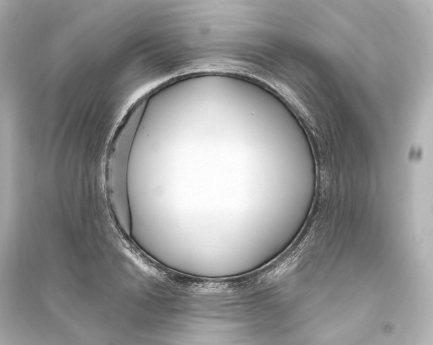 X0000093770846200711131210