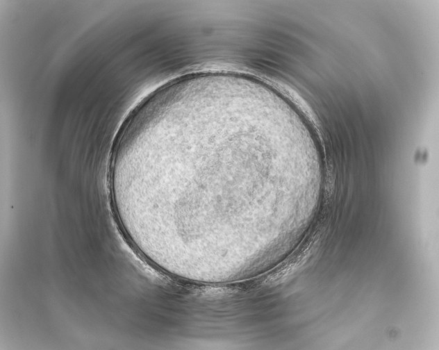 X0000093770847200711131210