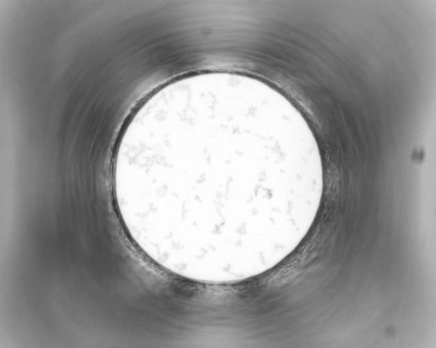 X0000093770848200711131210