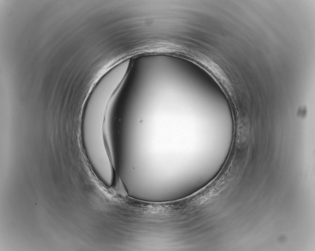 X0000093770850200711131210