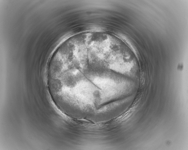 X0000093770851200711131210