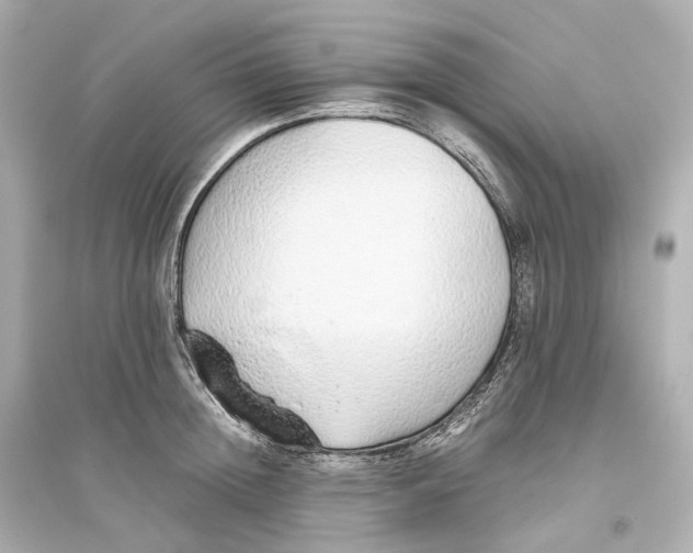 X0000093770852200711131210